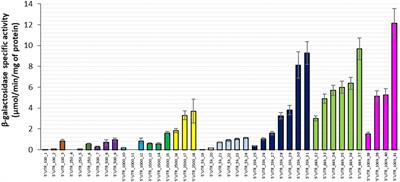 5’UTR sequences influence protein levels in Escherichia coli by regulating translation initiation and mRNA stability